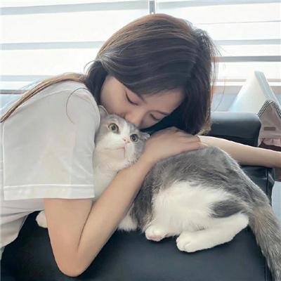 儿女英雄传